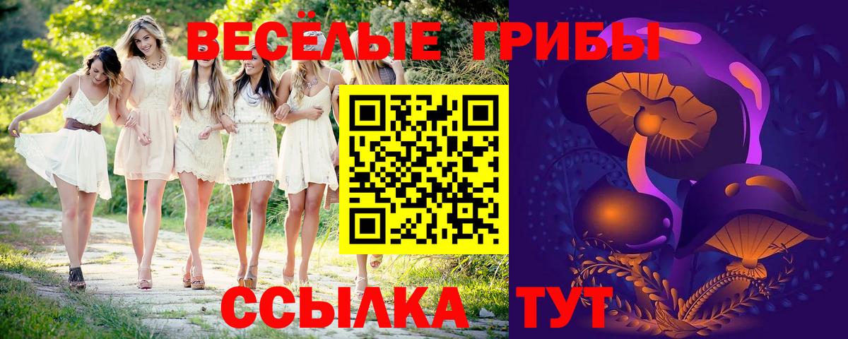 Майский  как найти закладки  Вход с VPN  Галлюциногенные грибы Magic Shrooms 